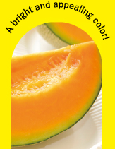 Asahi Melon known for high sugar content