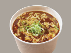 Pork Curry Udon
